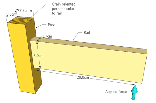 cad drawing showing dimensions and annual rings